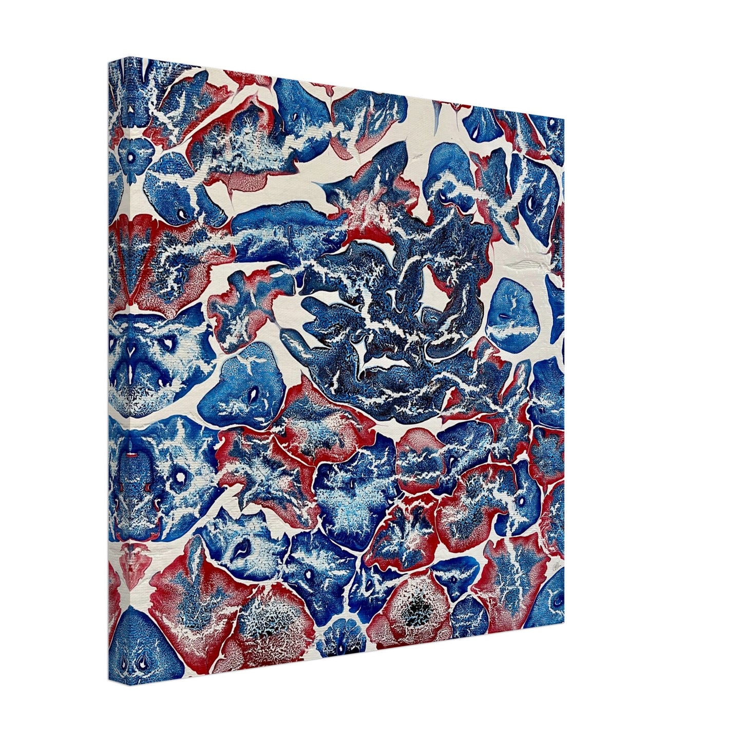 Marine Animals Print - Yana Virtuoso Art