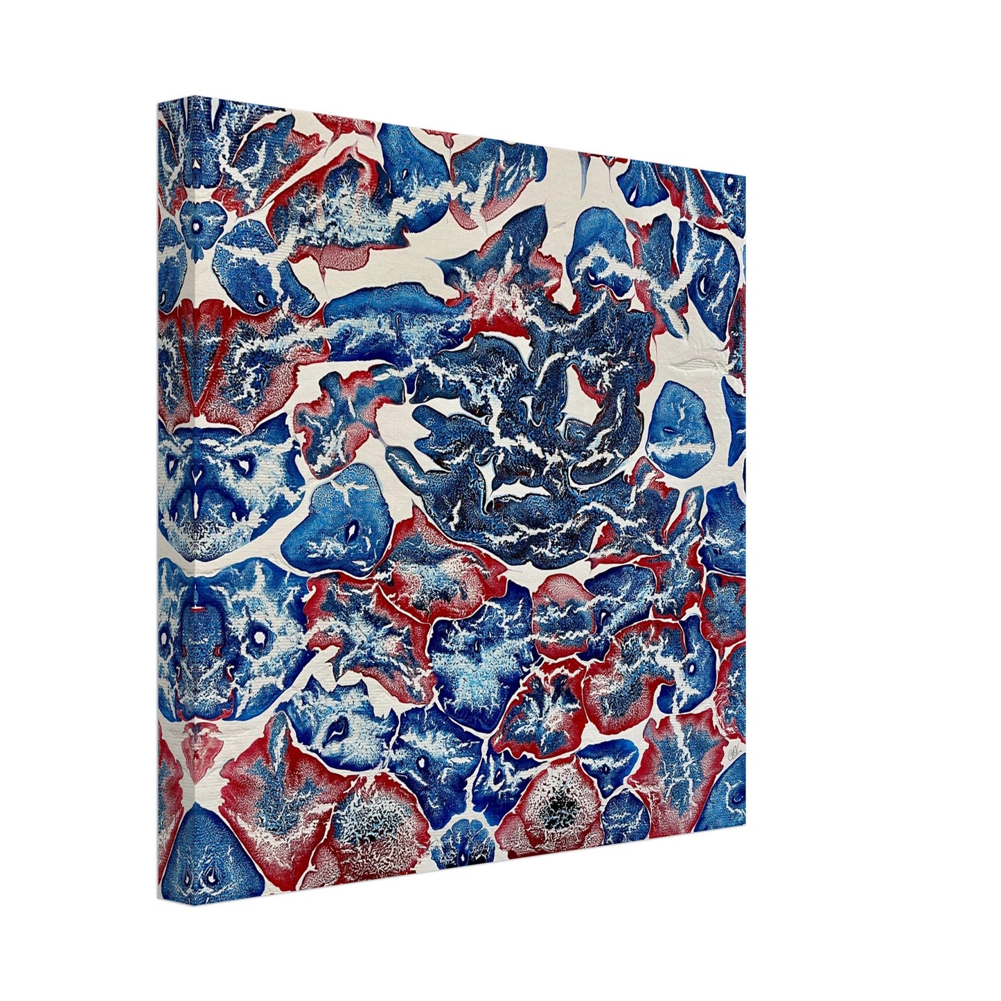 Marine Animals Print - Yana Virtuoso Art