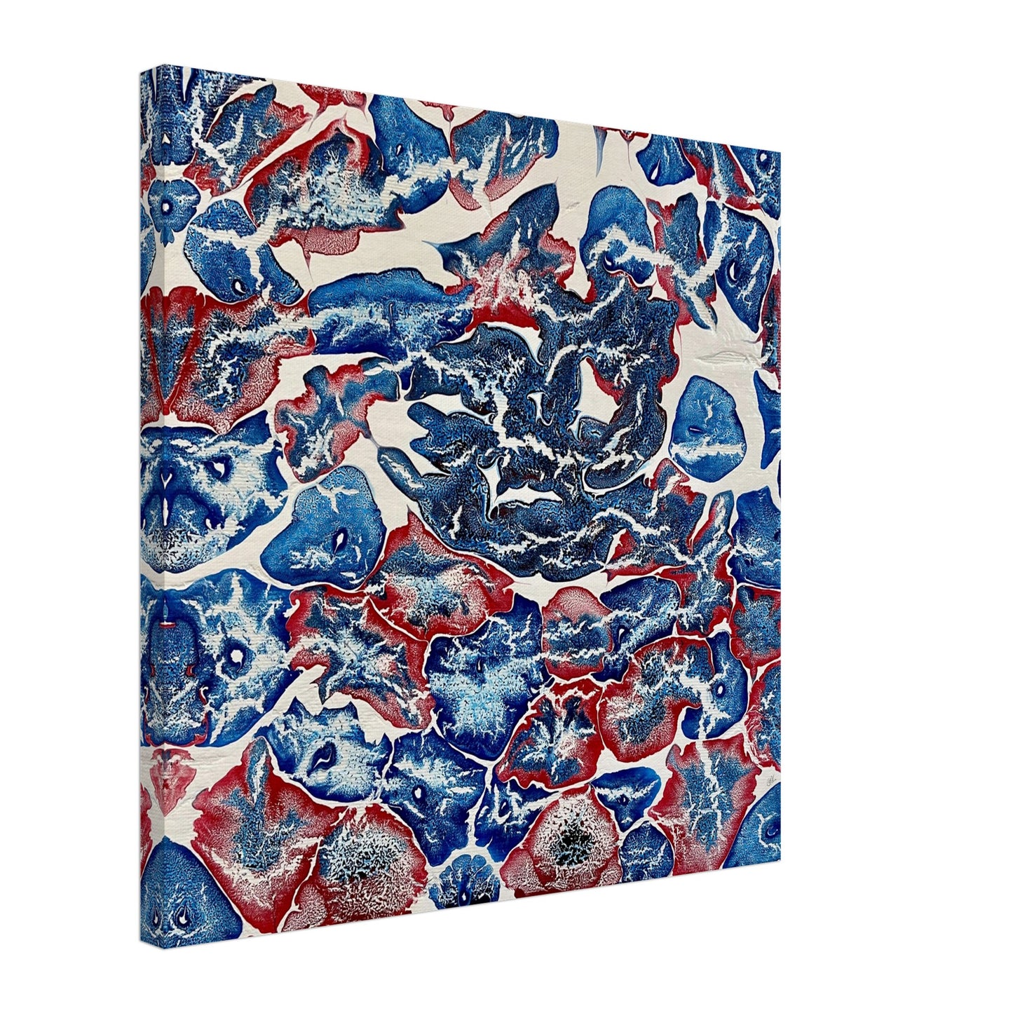 Marine Animals Print - Yana Virtuoso Art